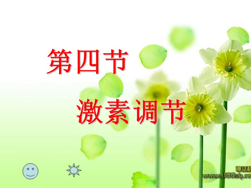 《激素调节》PPT课件.ppt_第1页