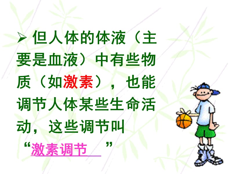 《激素调节》PPT课件.ppt_第3页