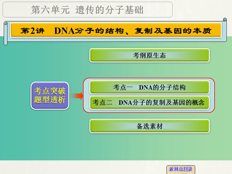 高考生物一轮复习 第六单元 第2讲 DNA分子的结构、复制及基因的本质课件.ppt_第1页