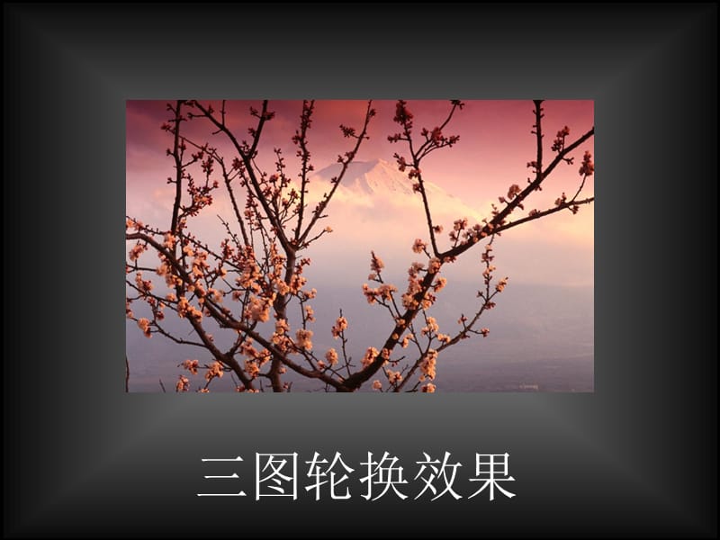 ppt动画图片轮换动画特效动作分解.ppt_第1页