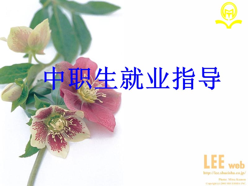 中职就业指导课件.ppt_第1页