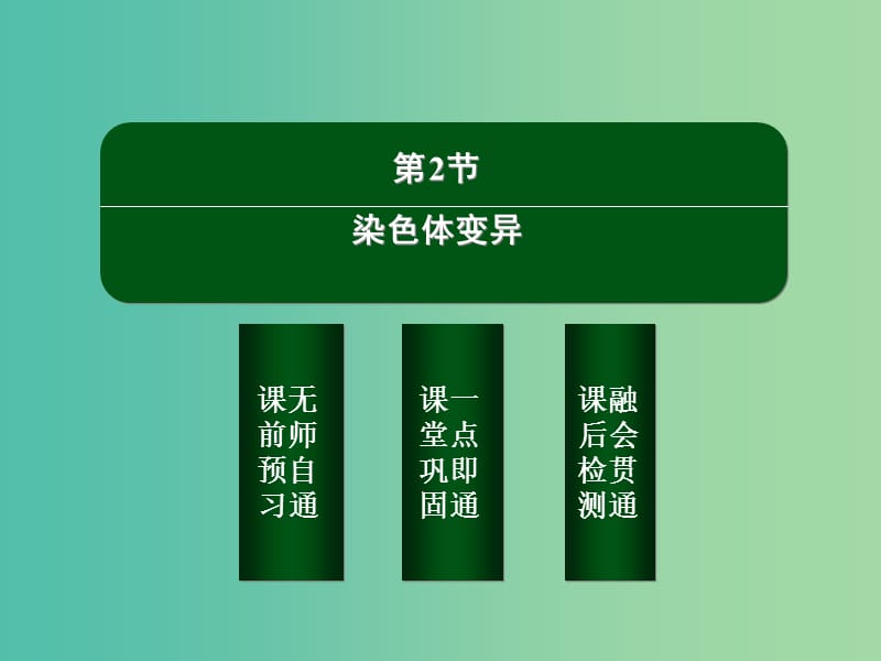 高中生物 5-2 染色体变异课件 新人教版必修2.ppt_第2页