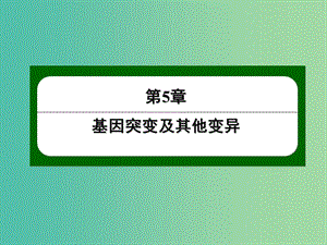 高中生物 5-2 染色體變異課件 新人教版必修2.ppt