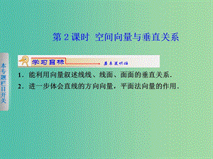 高中數(shù)學(xué) 3.2立體幾何中的向量方法（2）課件 新人教版選修2-1.ppt