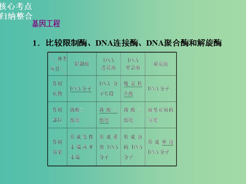 高三生物二轮复习 第一部分 知识落实篇 专题九 现代生物科技 第1讲 基因工程和细胞工程课件.ppt_第2页