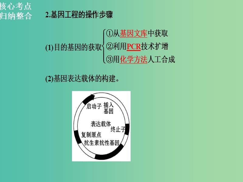 高三生物二轮复习 第一部分 知识落实篇 专题九 现代生物科技 第1讲 基因工程和细胞工程课件.ppt_第3页