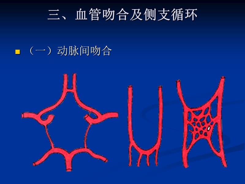 人体解剖学脉管系统-动脉系统.ppt_第3页