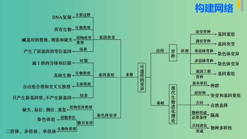 高三生物第二轮复习 专题四 第3讲 变异、育种和进化课件 新人教版.ppt_第3页