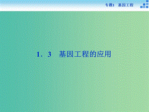 高中生物 專題1.3 基因工程的應用課件 新人教版選修3.ppt