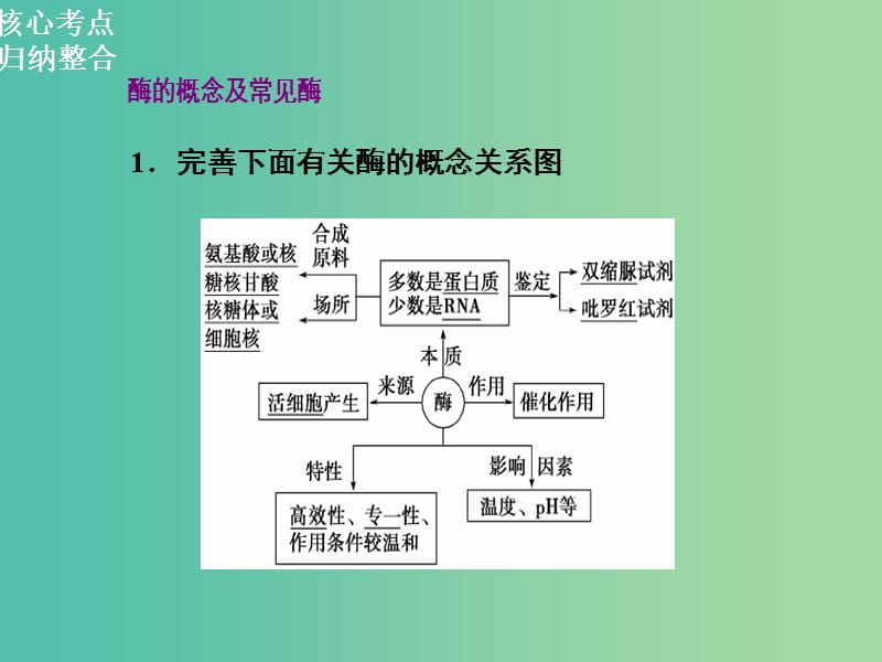 高三生物二轮复习 第一部分 知识落实篇 专题二 细胞的代谢 第1讲 酶和ATP课件.ppt_第2页