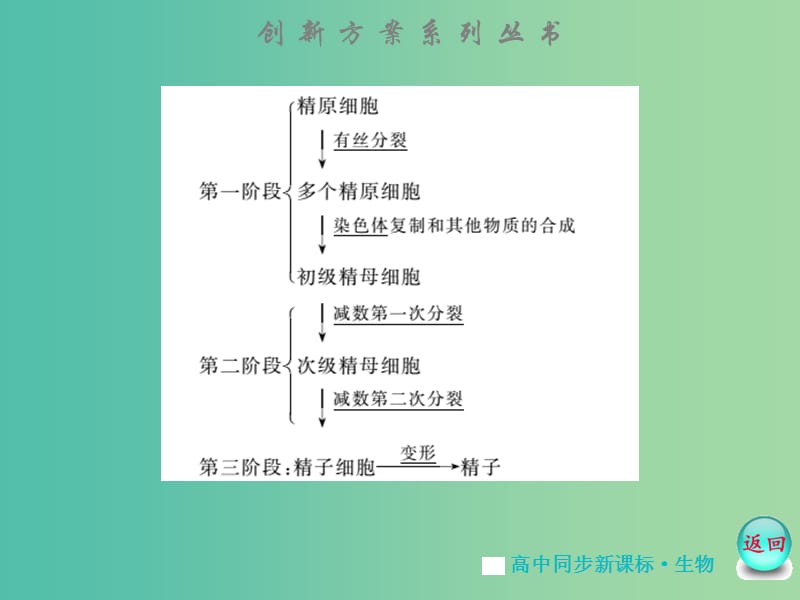 高中生物 专题3 -3.1体内受精和早期胚胎发育课件 苏教版选修3.ppt_第3页