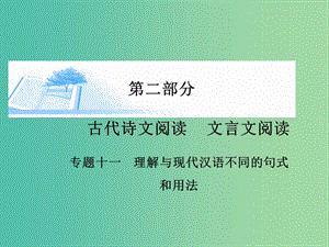 高考語(yǔ)文 理解與現(xiàn)代漢語(yǔ)不同的句式和用法課件.ppt