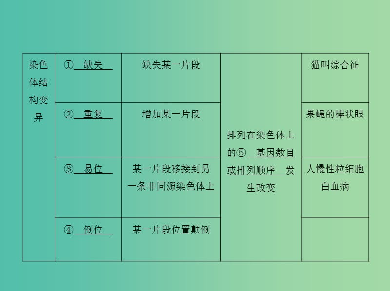 高三生物第一轮复习 第6单元 第19讲 染色体变异及育种课件 新人教版.ppt_第3页