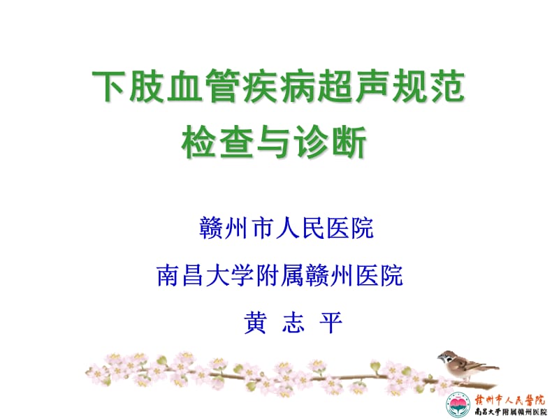 下肢血管超声规范检查与诊断.ppt_第1页