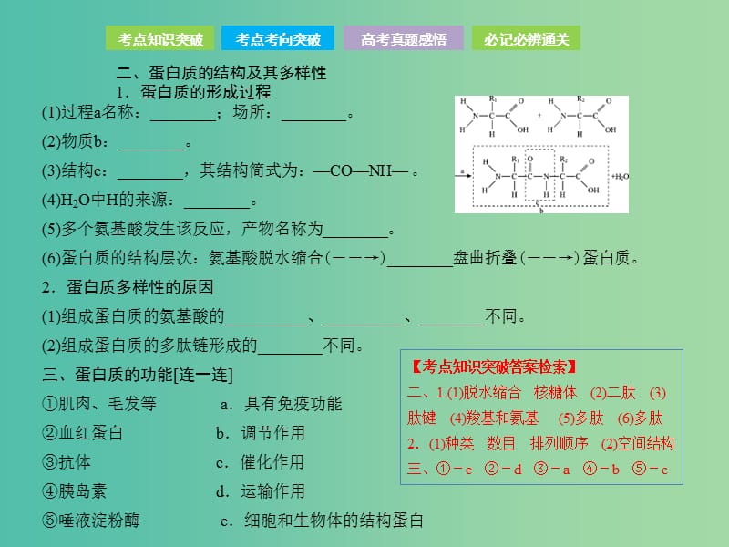 高考生物总复习第一单元细胞及其分子组成第3讲生命活动的主要承担者--蛋白质课件.ppt_第3页