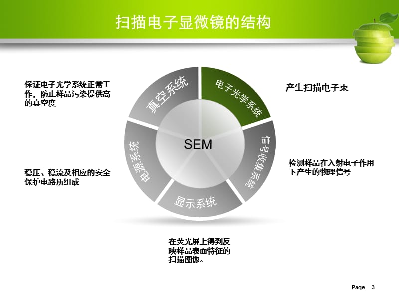 SEM及XRD分析简介.ppt_第3页