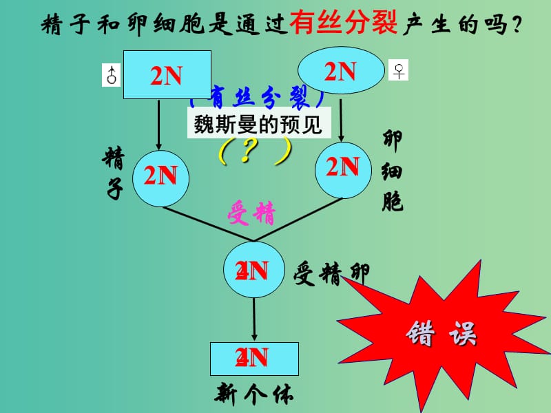 高中生物 2.1减数分裂（1）课件 新人教版必修2.ppt_第1页