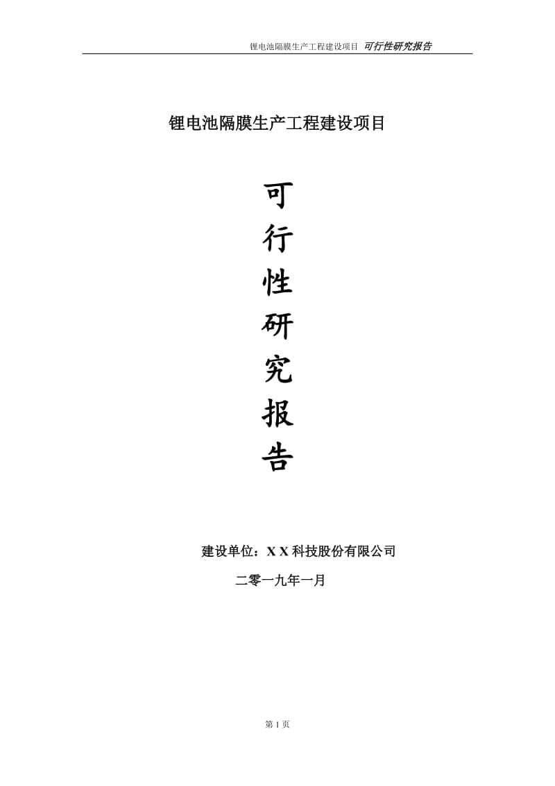 锂电池隔膜生产项目可行性研究报告（建议书模板）(1)(1)_第1页