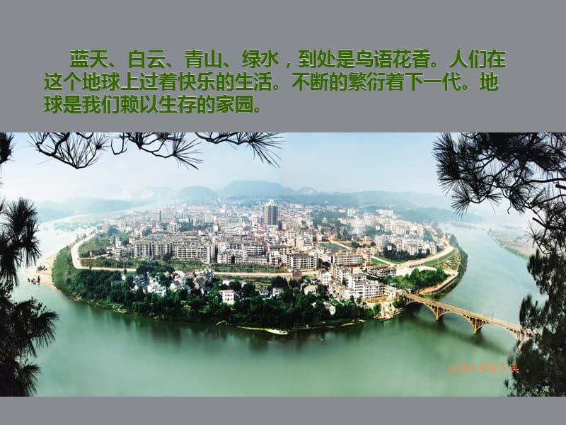 《呵护绿色家园》课件.ppt_第2页