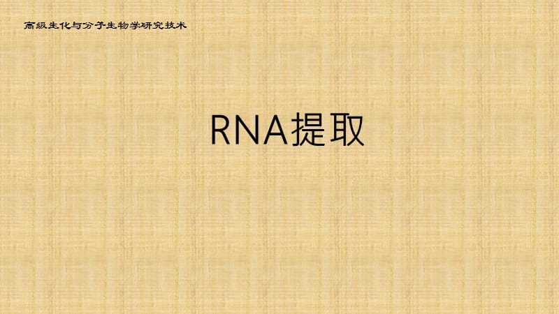 RNA提取详细步骤及注意事项.ppt_第1页