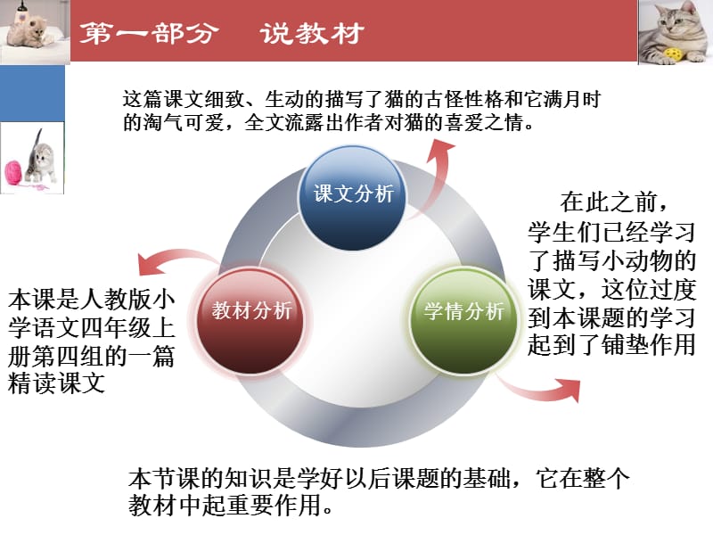 《猫》说课稿课件.ppt_第3页