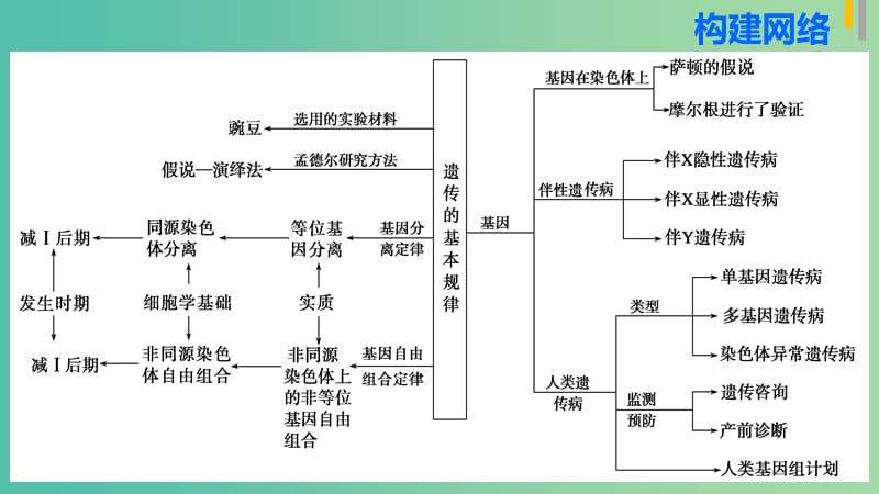 高三生物第二轮复习 专题四 第2讲 遗传的基本规律和伴性遗传课件 新人教版.ppt_第3页