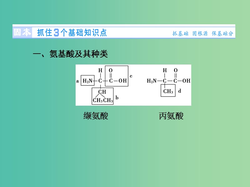 高考生物总复习 第1单元 第3讲 生命活动的主要承担者 蛋白质课件 新人教版必修1.ppt_第2页