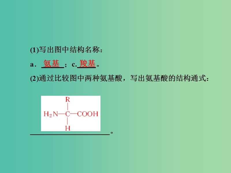 高考生物总复习 第1单元 第3讲 生命活动的主要承担者 蛋白质课件 新人教版必修1.ppt_第3页