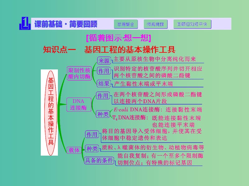 高考生物一轮复习 第1讲 基因工程课件 新人教版选修3.ppt_第3页