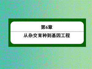 高中生物 6-2 基因工程及其應(yīng)用課件 新人教版必修2.ppt