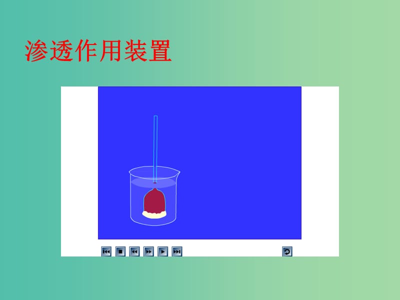 高中生物《4.1 物质跨膜运输的实例》课件 新人教版必修1.ppt_第3页