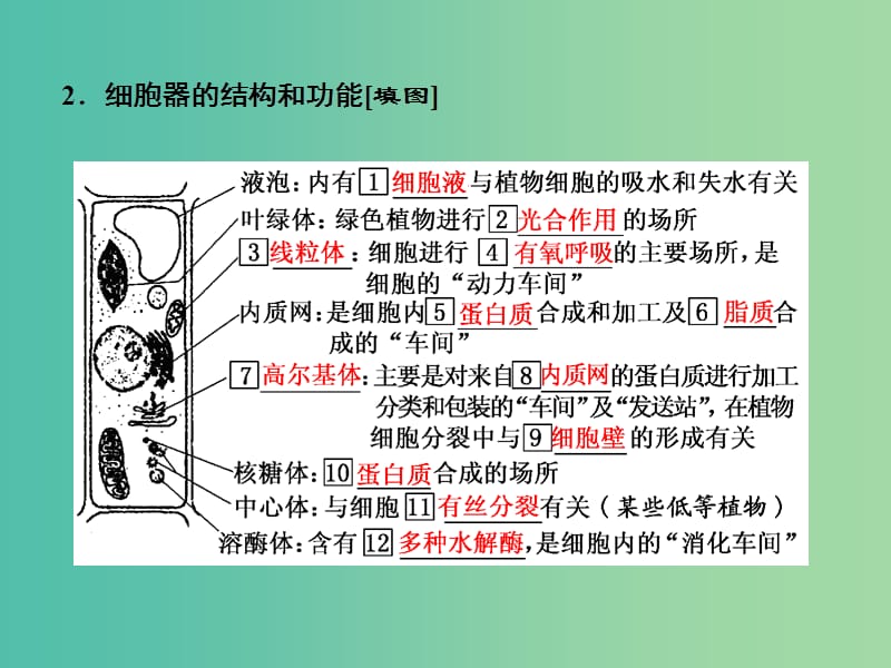 高中生物第3章细胞的基本结构第2节细胞器--系统内的分工合作第1课时细胞器之间的分工课件新人教版.ppt_第3页