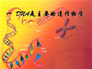 高中生物第三章細(xì)胞的基本結(jié)構(gòu)3.1DNA是主要的遺傳物質(zhì)課件新人教版.ppt