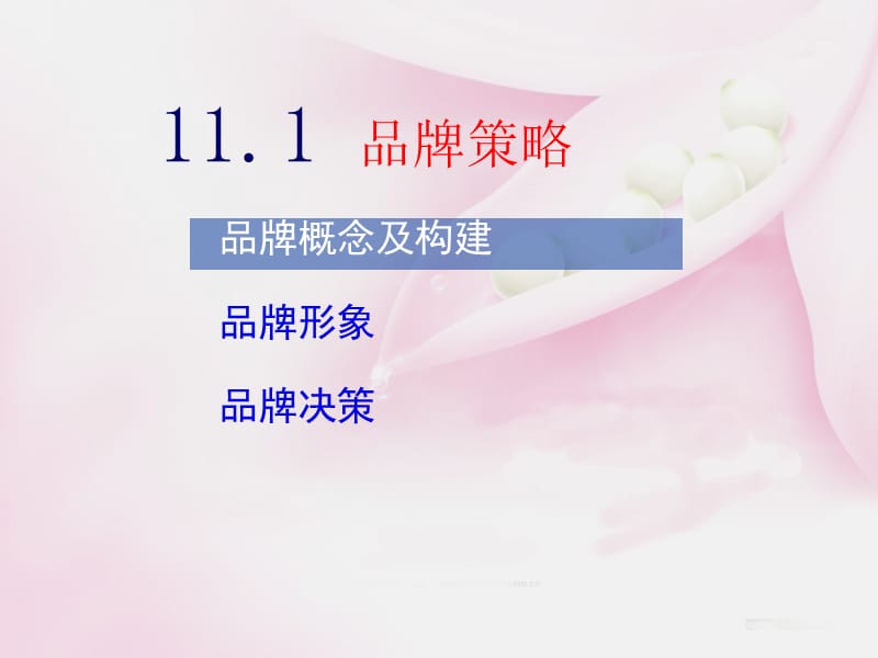 《品牌策略》PPT课件.ppt_第2页