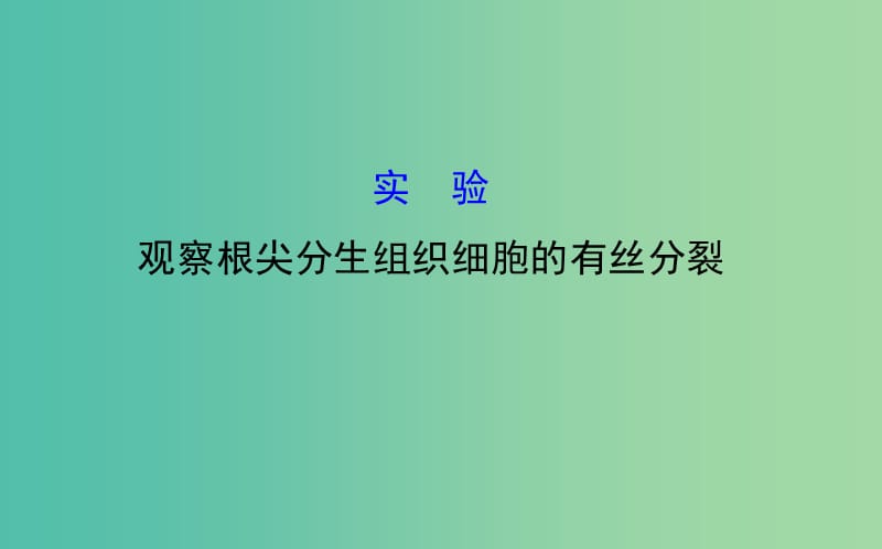 高三生物第一轮复习 第6章 实验：观察根尖分生组织细胞的有丝分裂课件 新人教版必修1.ppt_第1页