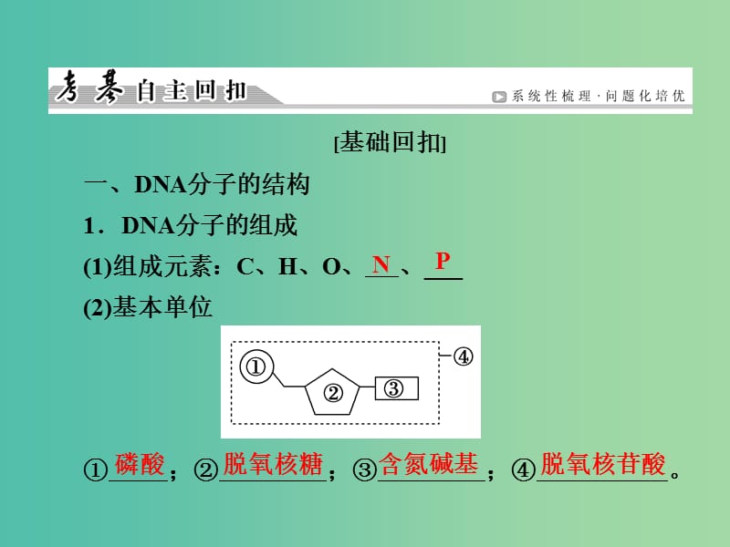 高考生物一轮复习 第6单元 第17讲 DNA分子的结构、复制与基因的本质课件 (2).ppt_第3页