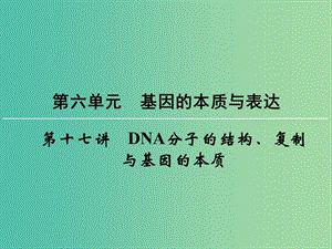 高考生物一輪復習 第6單元 第17講 DNA分子的結構、復制與基因的本質課件 (2).ppt