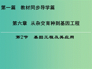 高中生物第六章從雜交育種到基因工程第2節(jié)基因工程及其應(yīng)用課件新人教版.ppt