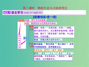 高考歷史一輪復(fù)習(xí) 第三課時 物質(zhì)生活與習(xí)俗的變遷課件 新人教版必修2.ppt