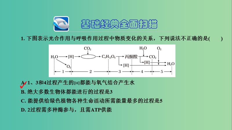 高三生物第一轮总复习 第一编 考点过关练 考点12 光合作用与呼吸作用的关系课件.ppt_第3页