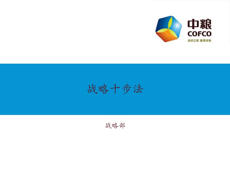 中粮集团战略十步法.ppt_第1页