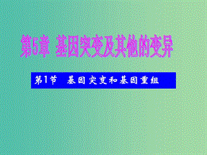 高中部高中生物 5.1 基因突變和基因重組課件 新人教版必修2.ppt