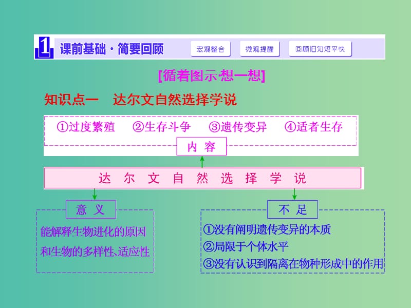 高考生物一轮复习 第三单元 第4讲 生物的进化课件 新人教版必修2 (2).ppt_第2页