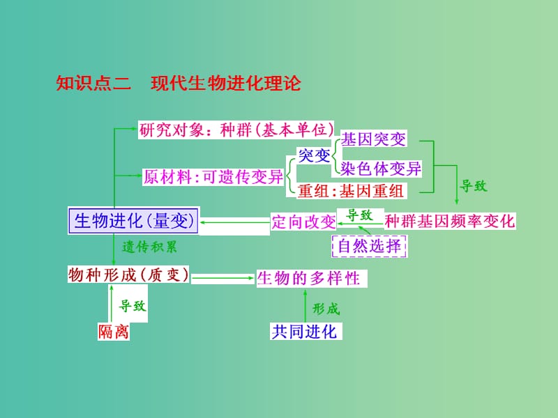 高考生物一轮复习 第三单元 第4讲 生物的进化课件 新人教版必修2 (2).ppt_第3页