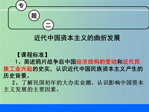 高中歷史 專題二會考復(fù)習(xí)課件 人民版必修2.ppt