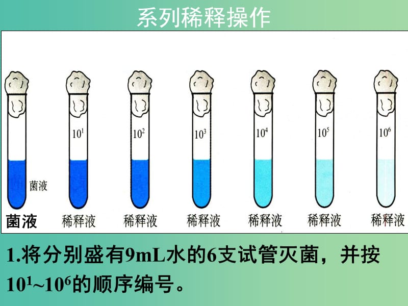 高中生物 稀释涂布平板法课件 苏教版选修1.ppt_第3页