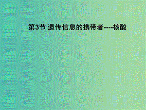 高中生物2.3遺傳信息的攜帶者---核酸課件新人教版.ppt