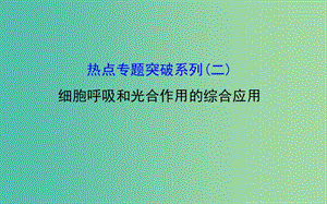 高考生物總復(fù)習(xí) 熱點(diǎn)專題突破系列(二) 細(xì)胞呼吸和光合作用的綜合應(yīng)用課件 新人教版.ppt