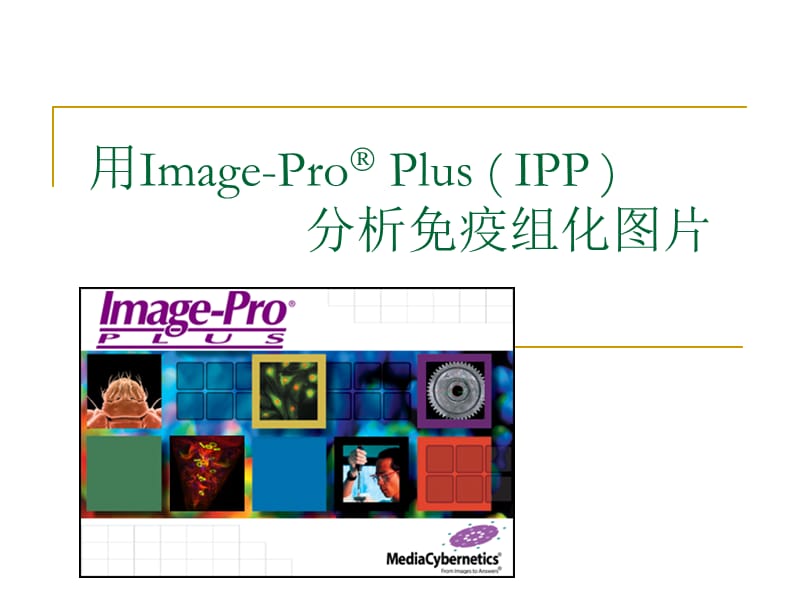 IPP分析免疫组化图片.ppt_第1页