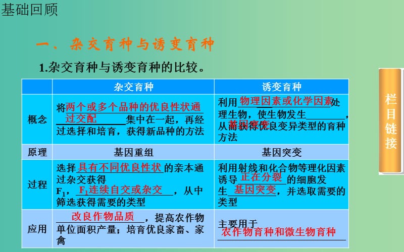 高考生物一轮复习 从杂交育种到基因工程课件.ppt_第3页